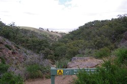 We Explored every possible Gully