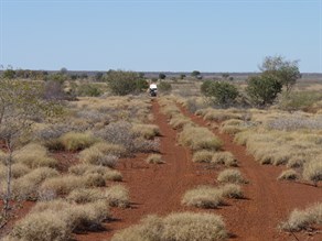 Coming up the cut line towards the Gary Highway