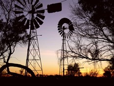 Merry Christmas in Aussie bush style
