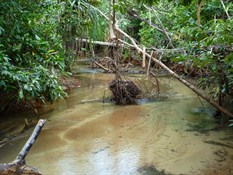 Latram River