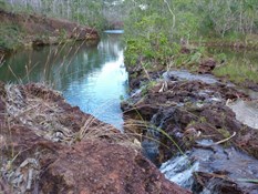Small falls on the Giddy River.