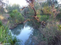 Wilton River