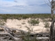 Lake Hindmarsh western shore - Although it used to be home for a variety of water sports the lake had been dry for many years.
Taken: 9/08/2005 1:12:51 PM Camera: Panasonic DMC-FZ20