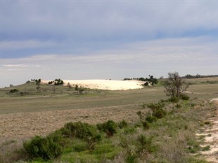 Big shifting dune just south of Underbool