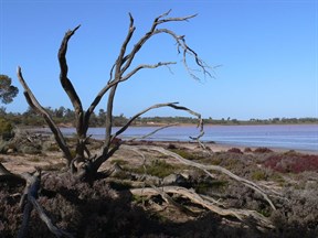 Becker Lake, one of the Pink Lakes