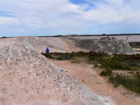 Salt stockpile