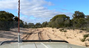 Wyperfield NP track
