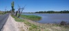 Rising Water Levels in the Murraylands