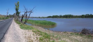 Rising Water Levels in the Murraylands