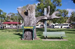 Mary Ann Reserve at Mannum