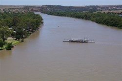 Murray River Ferry crossing at Walker Flat