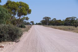Good Dirt road between Blanchetown and Morgan