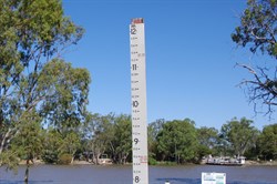 The 1956 Flood Level was near the top of the Marker