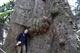 Rob in the Styx