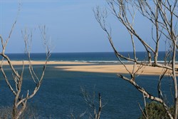 Mouth of The Snowy