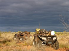 The quads after a hard day in the scrub