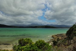 Cockle creek