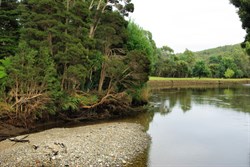 Bells park Latrobe
