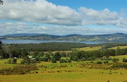 Landscape south of Snug 