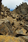 the rocky difficult track on Cradle Mountain