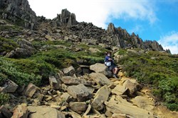 starting up Cradle Mountain track