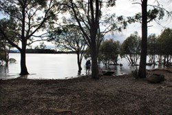 Arthurs Lake - Central Plateau 