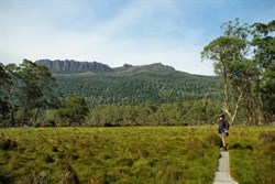 walking near Narcissus Bay on the Overland track