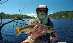 brown trout caught in Lake Gordon