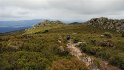 track and views on the plateau at Mt Roland