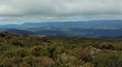 views from Mt Roland