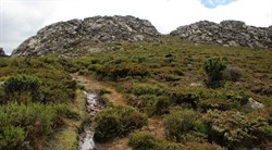 walking at Mt Roland
