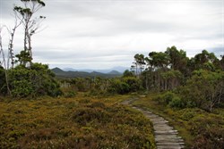 some of the track was almost level boardwalk