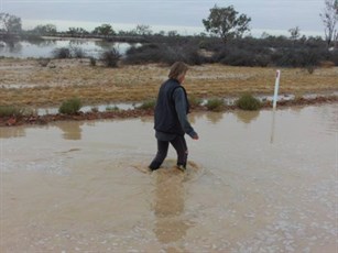 Patsy Dunn crossing the Birdsville Track