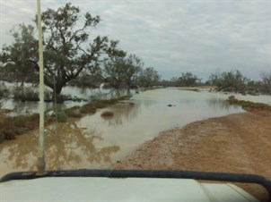 Etadunna Station vehicle on the flooding Birdsville Track