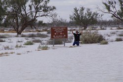 EO Member Greendog by the Camping sign