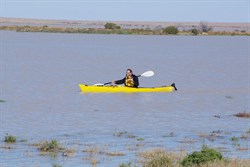 It is not everyday that you can paddle the Cooper on the Birsdville Track