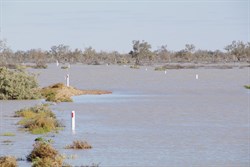 The Birdsville Track stayed flooded for over 7 months