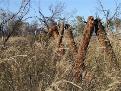 Remnants of a better time - Canning Stock Route