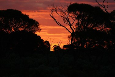 Connie Sue Sunset 2009