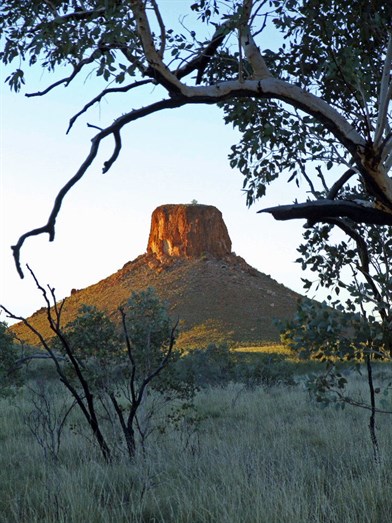 Darlsen Pinnacle - Rudall River 2008