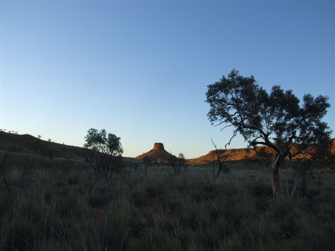 Darlsen Sunset 2007