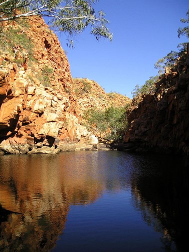 A Brimming pool at Desert Queen Baths - 2006