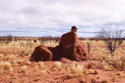 Great Sandy Sphinx - Somewhere north of Lake McKay 2009