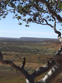 Durba Range - 2007