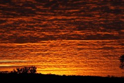 Western Deserts dawn - 2009