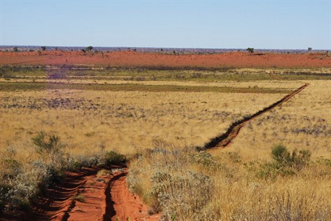 The Canning - 2009