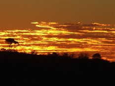 sunrise