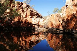 Middle Pool - Broadhurst Ranges, Rudall River 2009