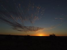 Poeppell Sunset - 2007