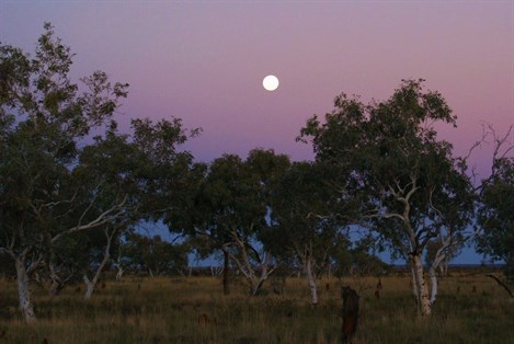 Paraku Sunset 2009